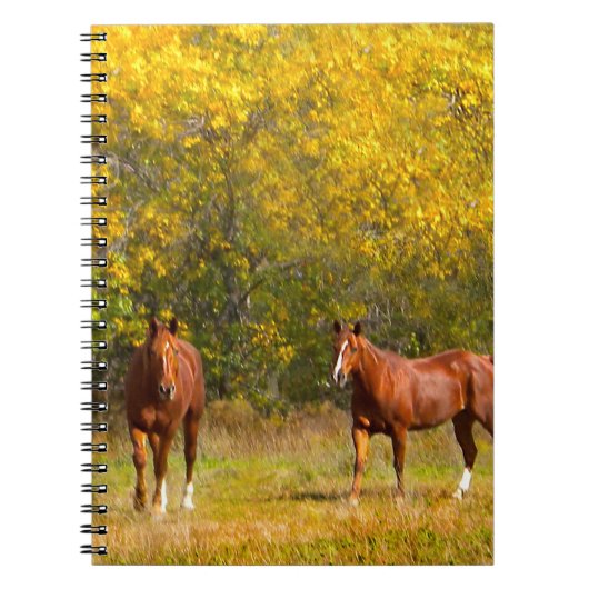Zwei Pferde im Fall Notizblock (Vorderseite)