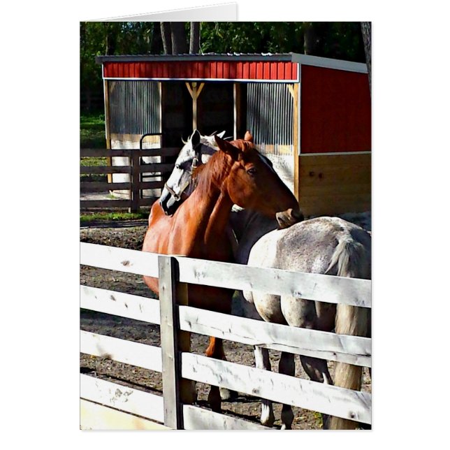 Zwei Pferde in der Liebe (Vorne)