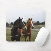 Zwei Pferde Mousepad (Mit Mouse)