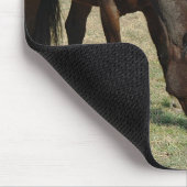Zwei Pferde - Mousepad (Ecke)