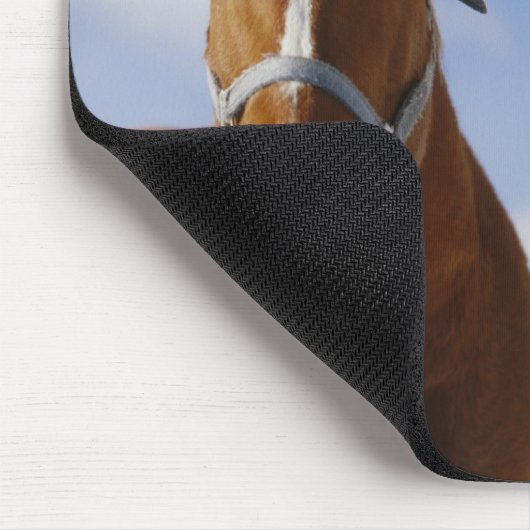 Zwei Pferde Mousepad (Ecke)