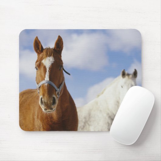 Zwei Pferde Mousepad (Mit Mouse)