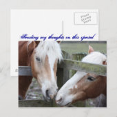 Zwei Pferde Postkarte (Vorne/Hinten)