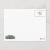 Zwei Pferde Postkarte (Rückseite)