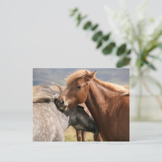 Zwei Pferde Postkarte (Stehend Vorderseite)