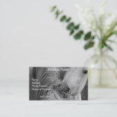 Zwei Pferde soziale Grooming B&W Pferdefotografie Visitenkarte (Stehend Vorderseite)