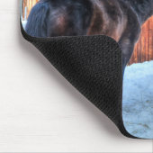 Zwei Pferde spielen Funny Equine Fotografie Mousepad (Ecke)