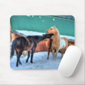 Zwei Pferde spielen Funny Equine Fotografie Mousepad (Mit Mouse)