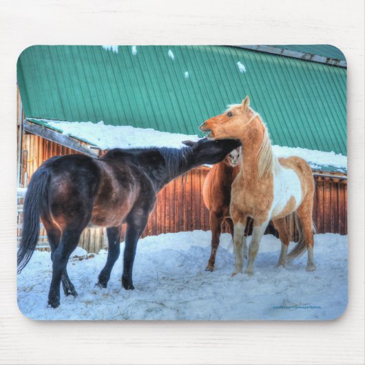 Zwei Pferde spielen Funny Equine Fotografie Mousepad (Vorne)