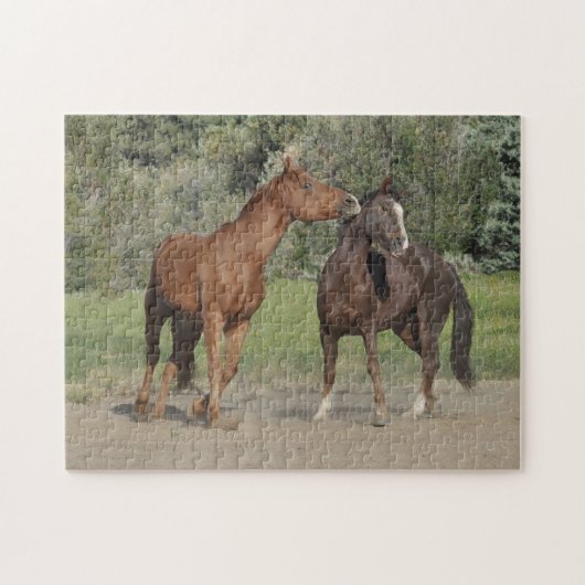 Zwei Pferde spielen Puzzle (Horizontal)