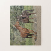 Zwei Pferde spielen Puzzle (Vertikal)