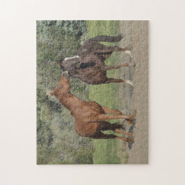 Zwei Pferde spielen Puzzle