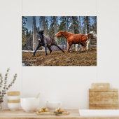 Zwei Pferde spielen Reitsport Ranch Equine Foto Poster (Küche)