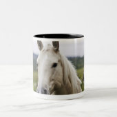 Zwei Pferde stehen nahen Zaun auf dem Zweifarbige Tasse (Mittel)