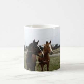 Zwei Pferde Tasse