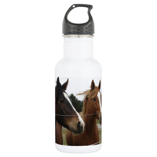 Zwei Pferde Trinkflasche (Vorderseite)