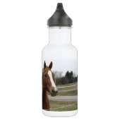Zwei Pferde Trinkflasche (Rechts)