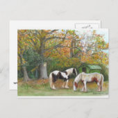 Zwei Pferde und ein Sinti und Roma Waggon - Postka Postkarte (Vorne/Hinten)