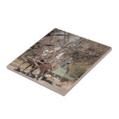 Zwei Pferde und Wagen Fliese (Seite)