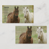 Zwei Pferde Visitenkarte (Vorne/Hinten)