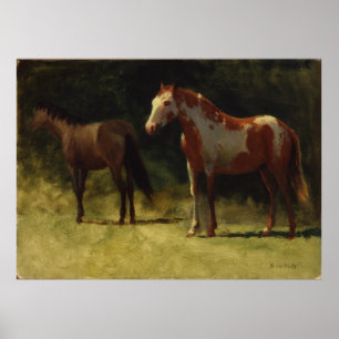 Zwei Pferde von Albert Bierstadt Poster