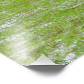 Zwei Pferde Weiden Fotodruck (Ecke)