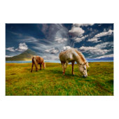 Zwei Pferde Weiden in Weide Poster (Vorderseite)