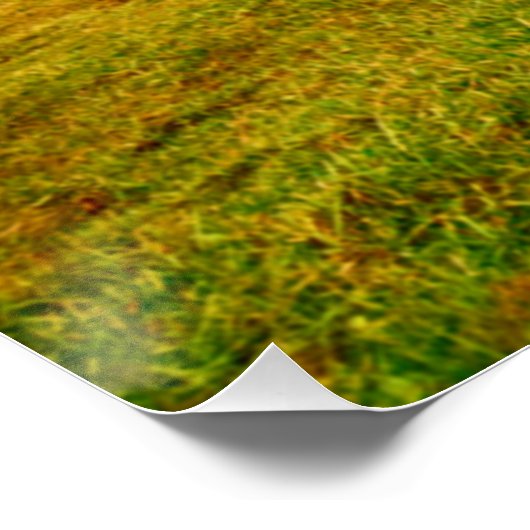 Zwei Pferde Weiden in Weide Poster (Ecke)