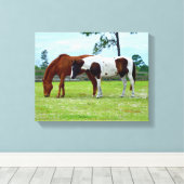 Zwei Pferde weiden Leinwand (Insitu (Holzboden))
