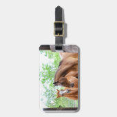 Zwei Pferdefreunde Gepäckanhänger (Vorderseite vertikal)