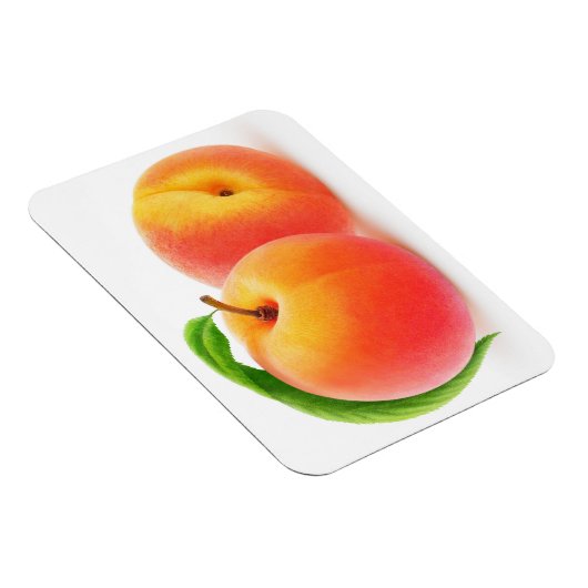 Zwei Pfirsiche Magnet (Rechte Seite)