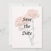 Zwei pfirsichfarbene Nelken Save The Date (Rückseite)