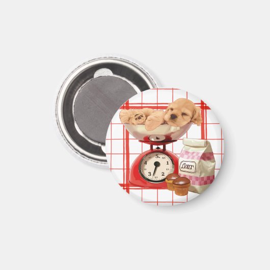 Zwei Pfund Niedlich Magnet (Vorderseite/Rückseite)