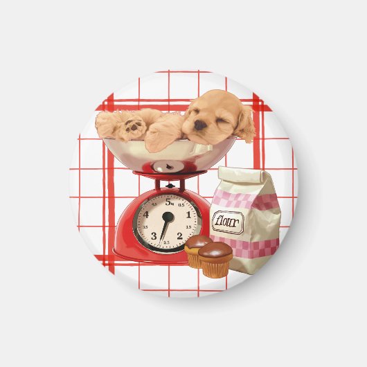 Zwei Pfund Niedlich Magnet (Vorne)