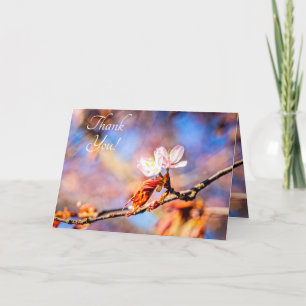 Zwei Phantastische Sakura-Blume. Rosa, blauer Hint Dankeskarte