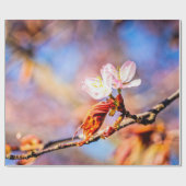 Zwei Phantastische Sakura-Blume. Rosa, blauer Hint Geschenkpapier (Flach)