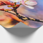 Zwei Phantastische Sakura-Blume. Rosa, blauer Hint Geschenkpapier (Ecke)