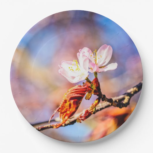 Zwei Phantastische Sakura-Blume. Rosa, blauer Hint Pappteller (Vorderseite)