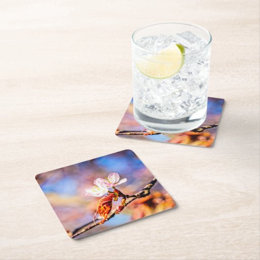 Zwei Phantastische Sakura-Blume. Rosa, blauer Hint Rechteckiger Pappuntersetzer (Vor Ort)