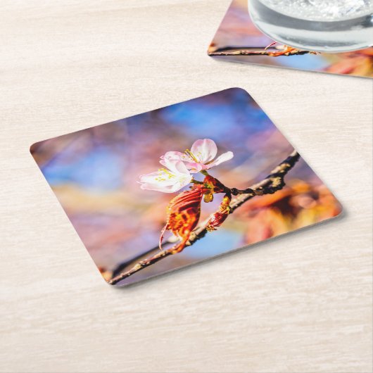 Zwei Phantastische Sakura-Blume. Rosa, blauer Hint Rechteckiger Pappuntersetzer (angewinkelt)