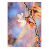 Zwei Phantastische Sakura-Blume. Rosa, blauer Hint Tischdecke (Vorderseite)