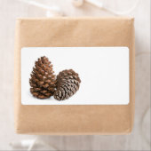 Zwei pinecones (Insitu)