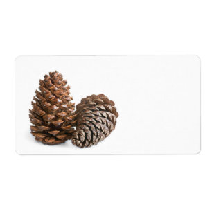 Zwei pinecones
