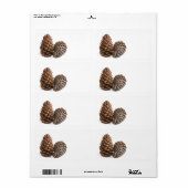 Zwei pinecones (Vorne)