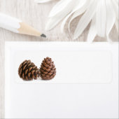 Zwei pinecones (Insitu)