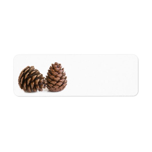 Zwei pinecones (Vorne)