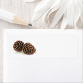 Zwei pinecones (Insitu)