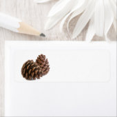 Zwei pinecones (Insitu)