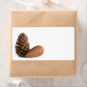 Zwei pinecones (Insitu)