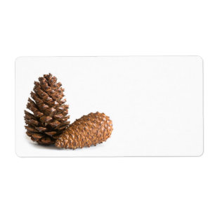 Zwei pinecones